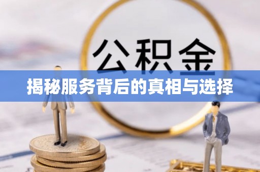 隆安揭秘服务背后的真相与选择