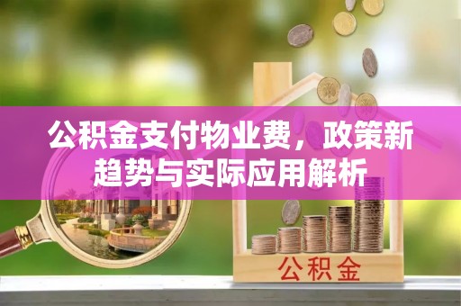 隆安公积金支付物业费，政策新趋势与实际应用解析