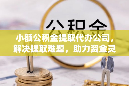 隆安小额公积金提取代办公司，解决提取难题，助力资金灵活使用