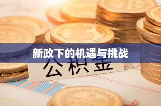 隆安新政下的机遇与挑战