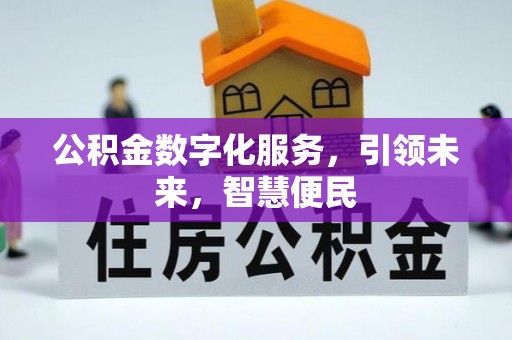 隆安公积金数字化服务，引领未来，智慧便民