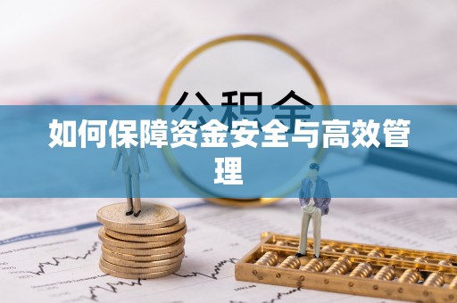 隆安如何保障资金安全与高效管理