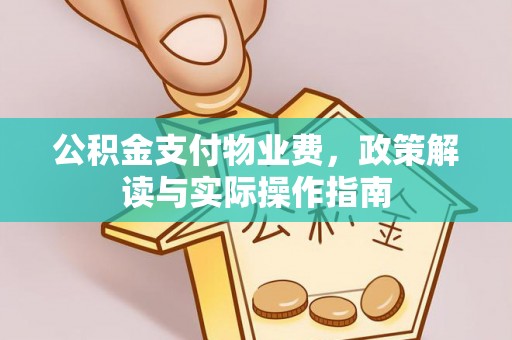 隆安公积金支付物业费，政策解读与实际操作指南