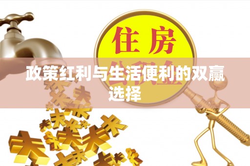 隆安政策红利与生活便利的双赢选择