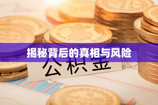 隆安揭秘背后的真相与风险