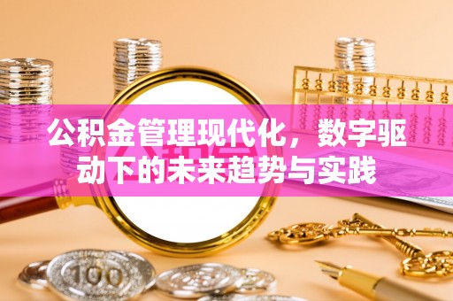 隆安公积金管理现代化，数字驱动下的未来趋势与实践