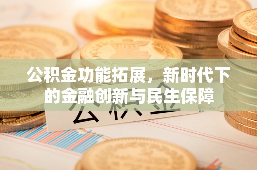 隆安公积金功能拓展，新时代下的金融创新与民生保障