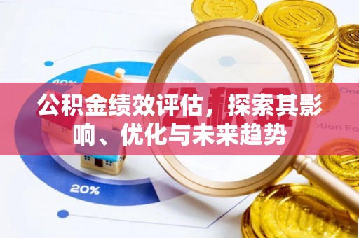 隆安公积金绩效评估，探索其影响、优化与未来趋势