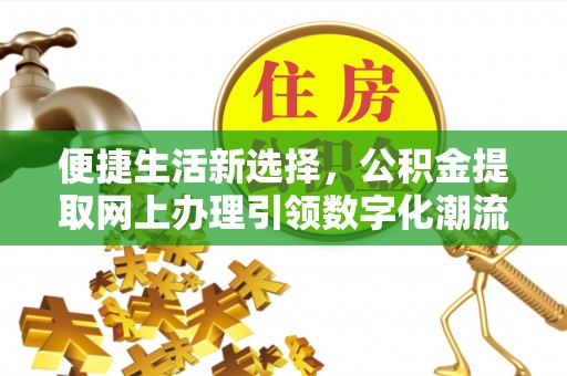 隆安便捷生活新选择，公积金提取网上办理引领数字化潮流