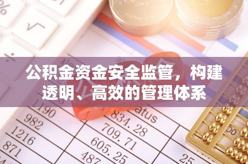 隆安公积金资金安全监管，构建透明、高效的管理体系