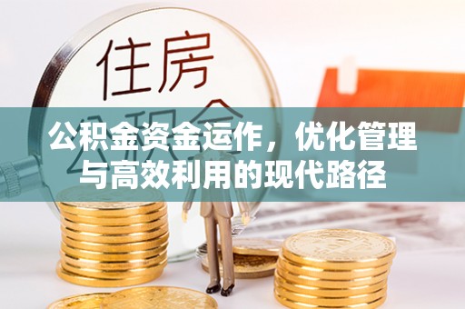 隆安公积金资金运作，优化管理与高效利用的现代路径