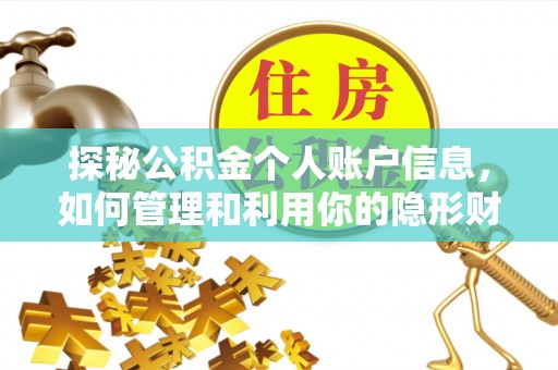 隆安探秘公积金个人账户信息，如何管理和利用你的隐形财富