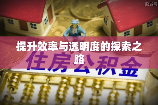 隆安提升效率与透明度的探索之路