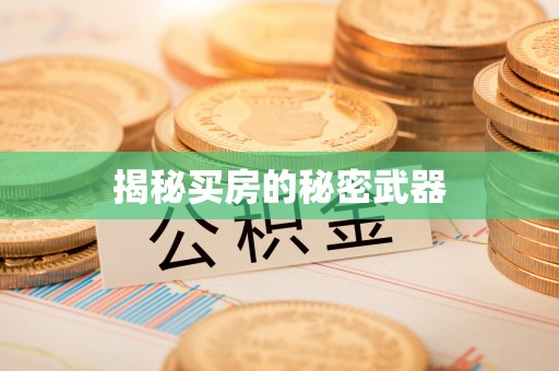 隆安揭秘买房的秘密武器