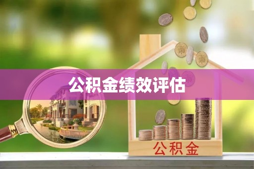 隆安公积金绩效评估
