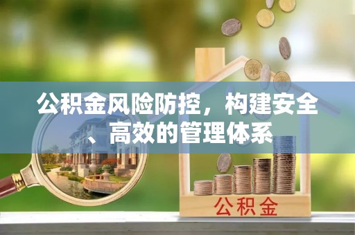 隆安公积金风险防控，构建安全、高效的管理体系