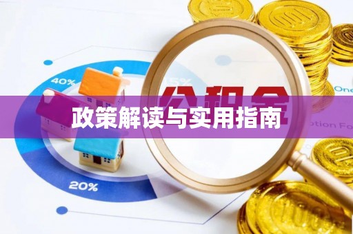 隆安政策解读与实用指南