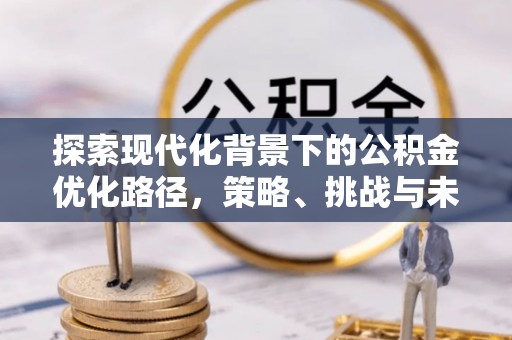 隆安探索现代化背景下的公积金优化路径，策略、挑战与未来展望