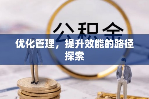 隆安优化管理，提升效能的路径探索