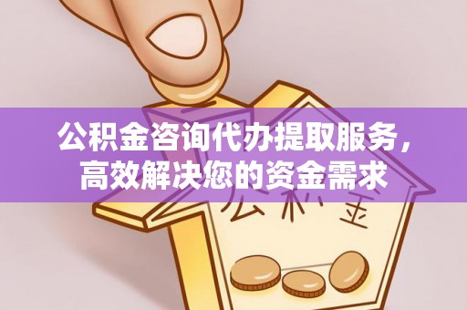隆安公积金咨询代办提取服务，高效解决您的资金需求