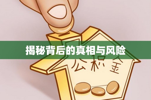 隆安揭秘背后的真相与风险