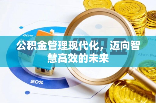 隆安公积金管理现代化，迈向智慧高效的未来