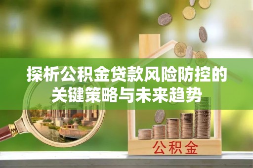 隆安探析公积金贷款风险防控的关键策略与未来趋势
