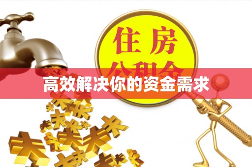 隆安高效解决你的资金需求