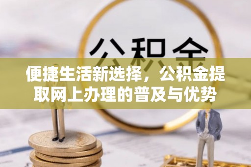 隆安便捷生活新选择，公积金提取网上办理的普及与优势