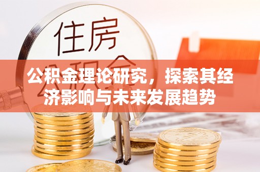 隆安公积金理论研究，探索其经济影响与未来发展趋势