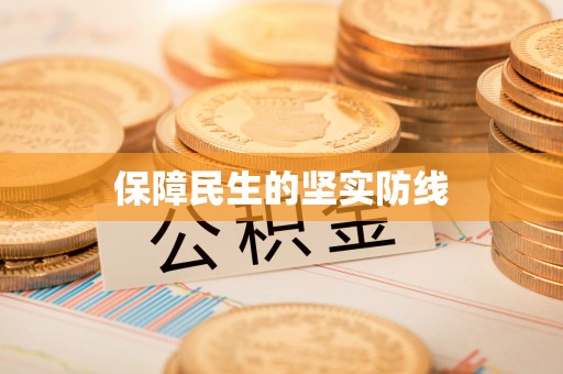 隆安保障民生的坚实防线