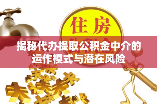 隆安揭秘代办提取公积金中介的运作模式与潜在风险