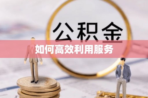 隆安如何高效利用服务