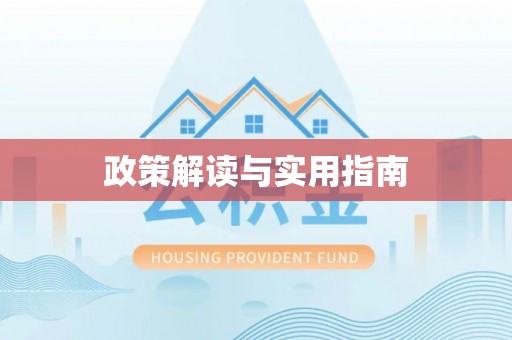 隆安政策解读与实用指南