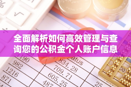 隆安全面解析如何高效管理与查询您的公积金个人账户信息