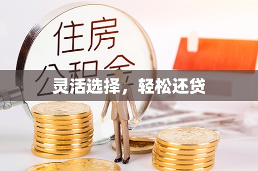 隆安灵活选择，轻松还贷