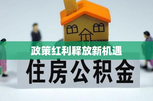 隆安政策红利释放新机遇