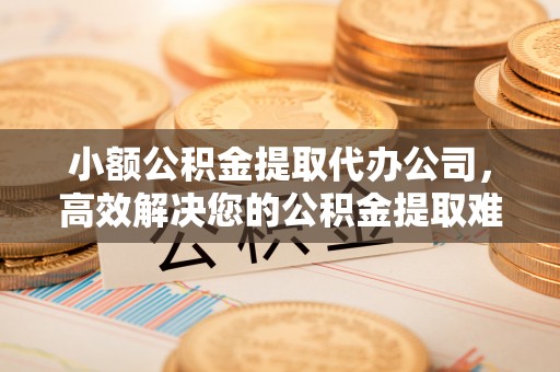 隆安小额公积金提取代办公司，高效解决您的公积金提取难题