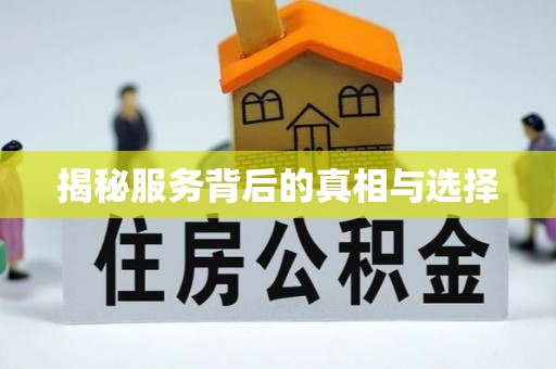 隆安揭秘服务背后的真相与选择