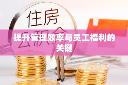 隆安提升管理效率与员工福利的关键