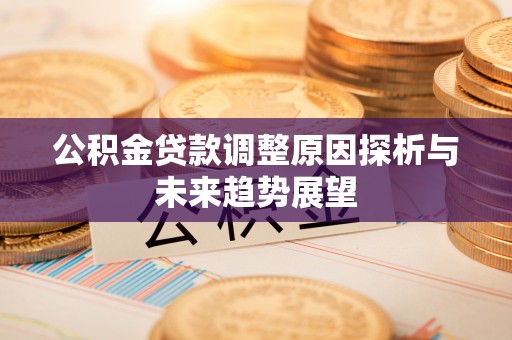 隆安公积金贷款调整原因探析与未来趋势展望