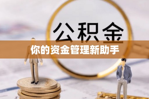 隆安你的资金管理新助手