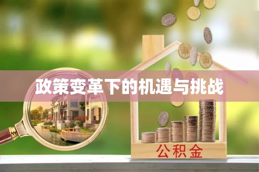 隆安政策变革下的机遇与挑战