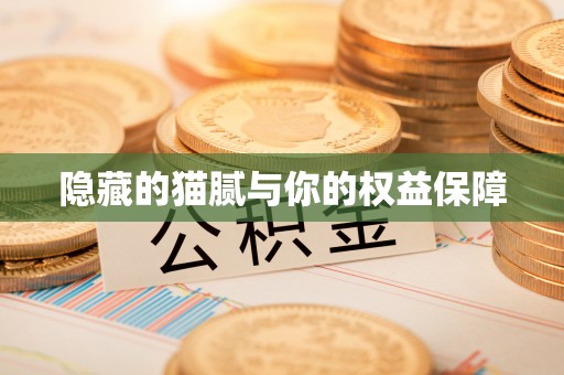 隆安隐藏的猫腻与你的权益保障
