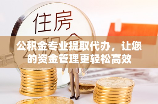隆安公积金专业提取代办，让您的资金管理更轻松高效