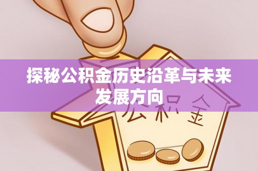 隆安探秘公积金历史沿革与未来发展方向