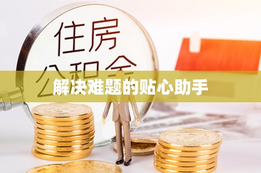 隆安解决难题的贴心助手