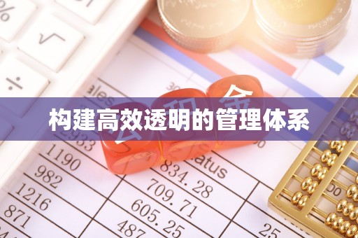隆安构建高效透明的管理体系