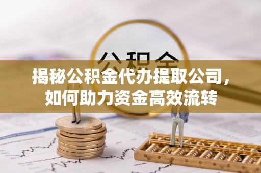 隆安揭秘公积金代办提取公司，如何助力资金高效流转