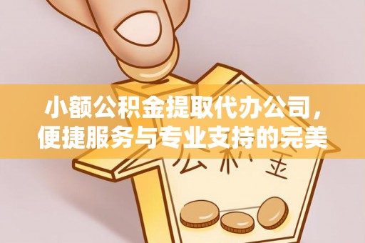 隆安小额公积金提取代办公司，便捷服务与专业支持的完美结合